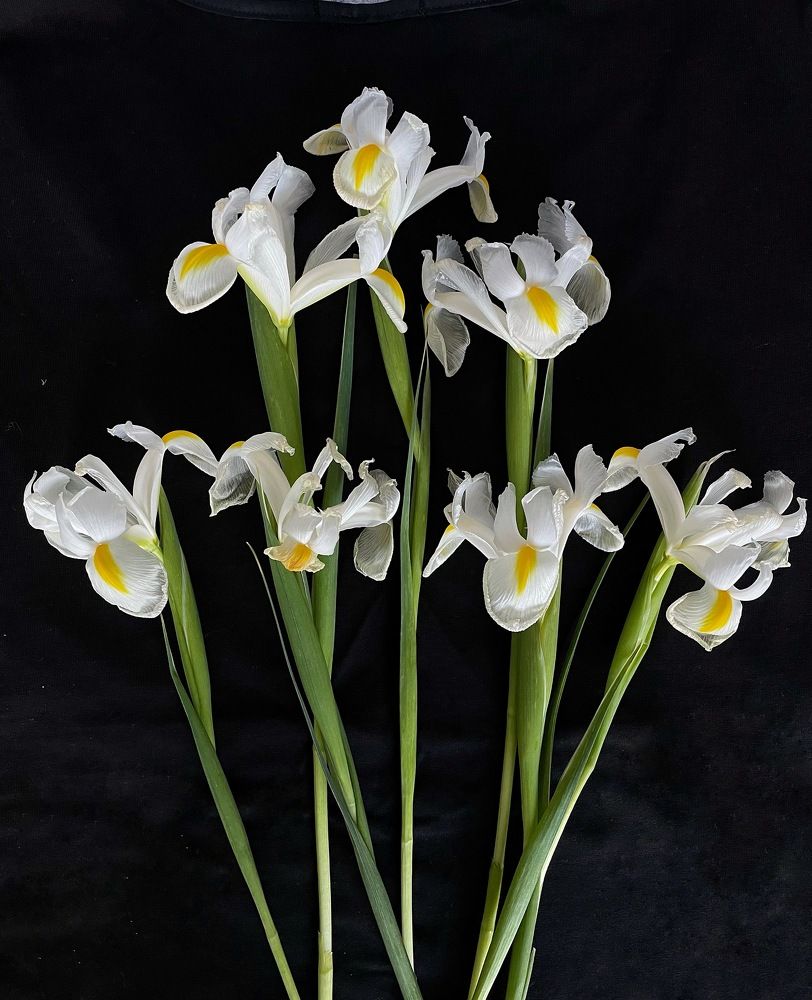 Фотография автора Рамзия Хисамутдинова