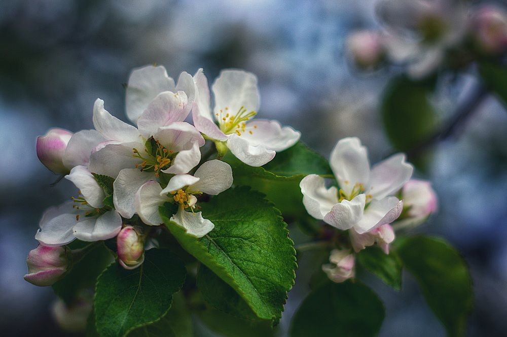 Photograph by Елена Квасова