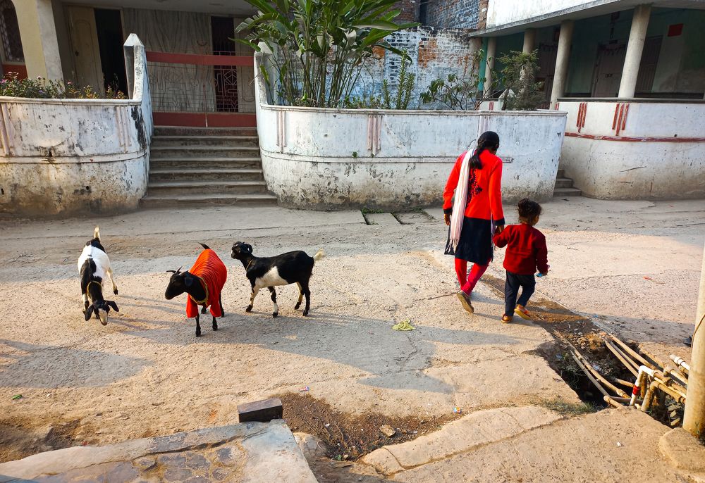 Photograph by Rahul Gupta