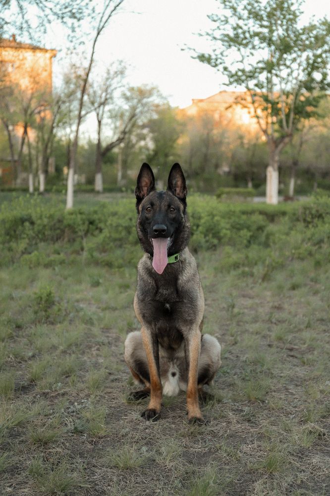 Photograph by Наталья