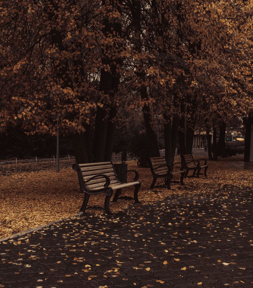 Photograph by Альберт Габбасов