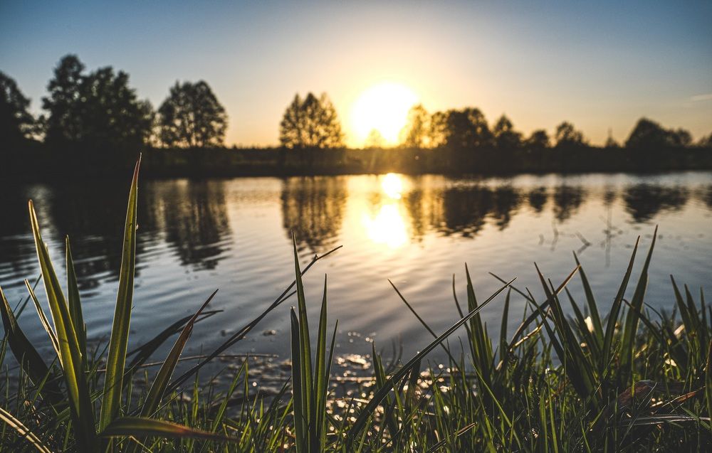 Photograph by Альберт Габбасов