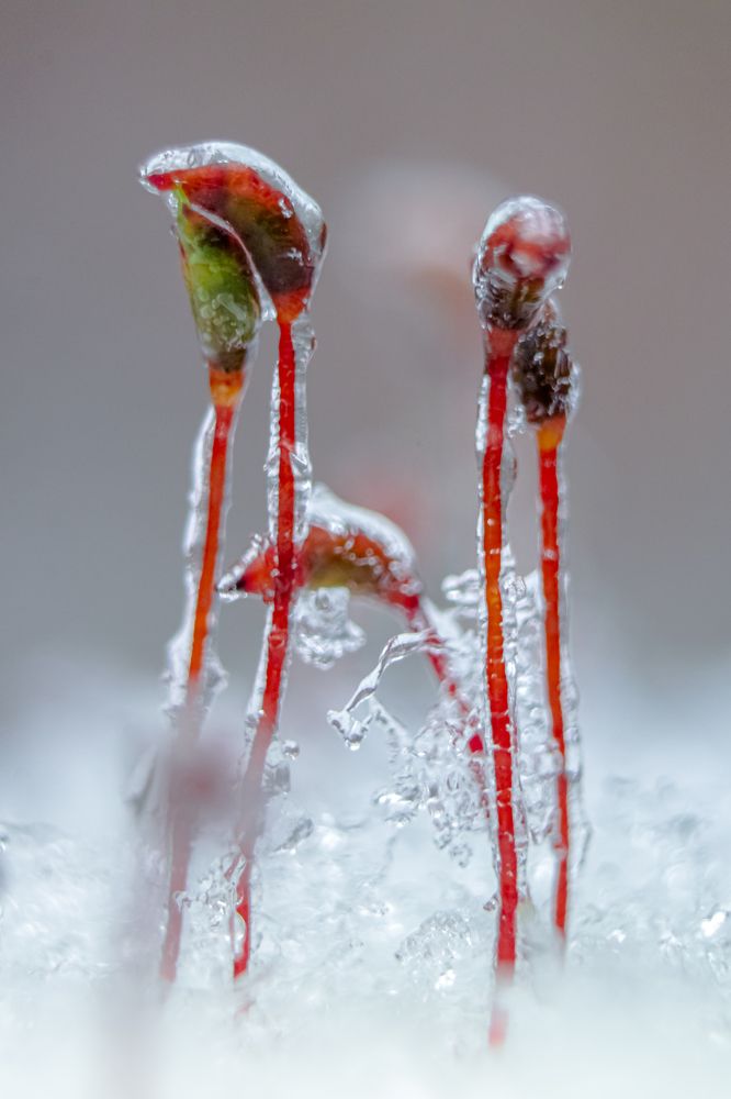 Photograph by Patryk George