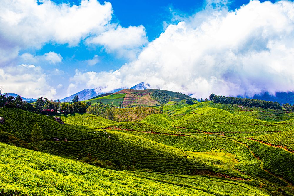 Photograph by Susobhan Biswas