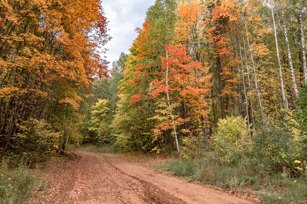 Photograph by Кермен Манджиева