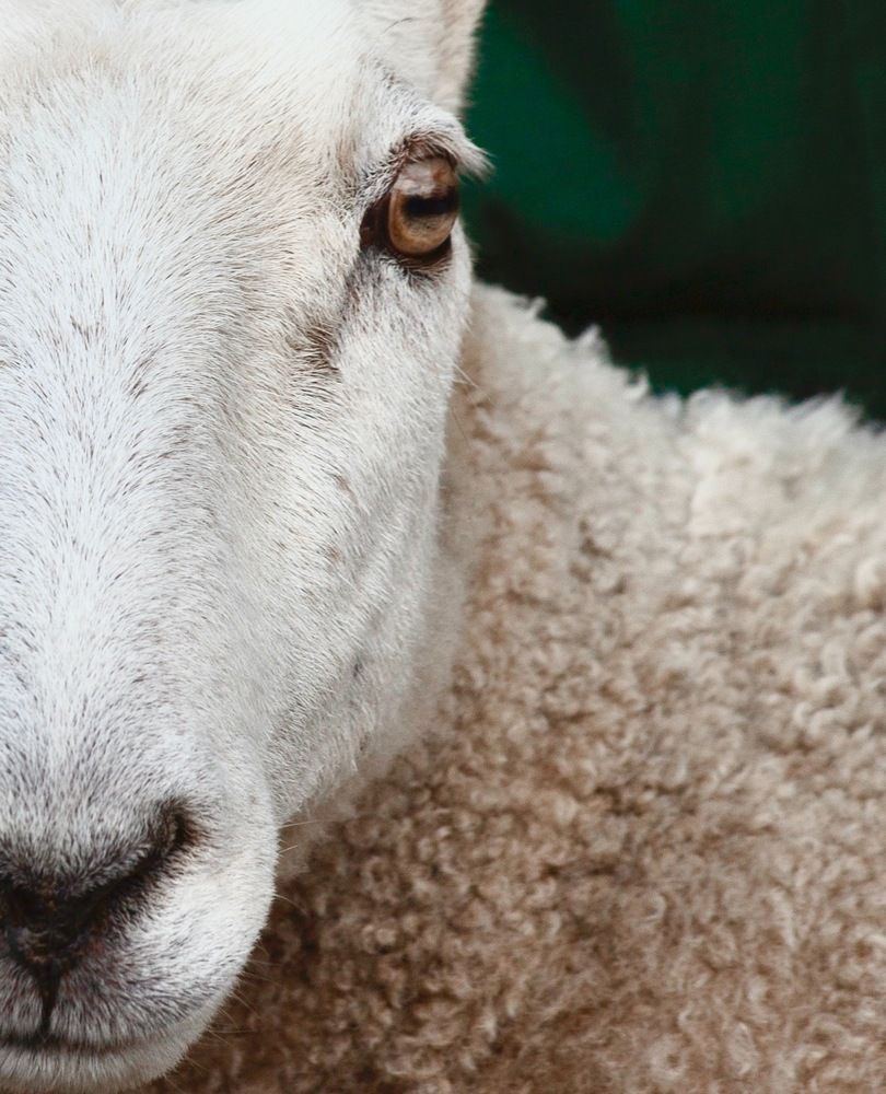 Фотография автора Galina Sa