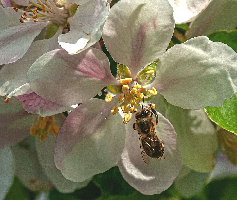 Photograph by Vladimir  Komarov