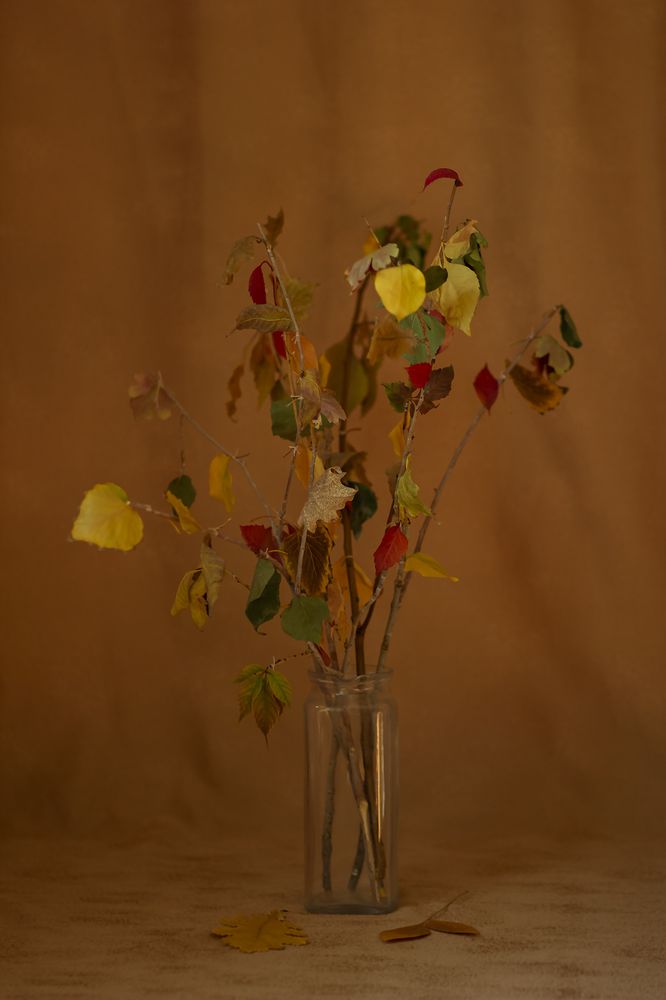 Photograph by Елена Галкина