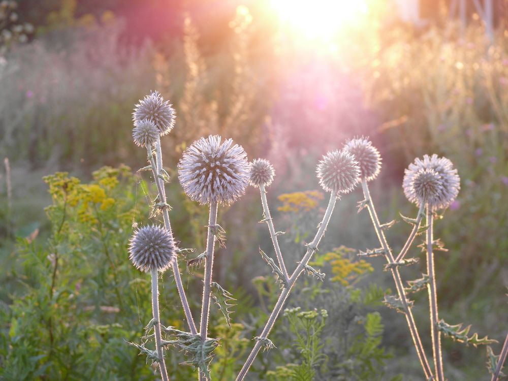 Photograph by Елена Попова