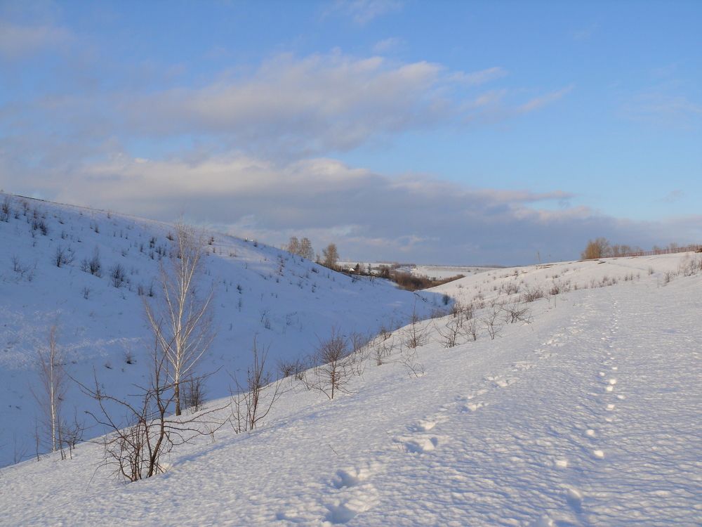 Photograph by Елена Попова