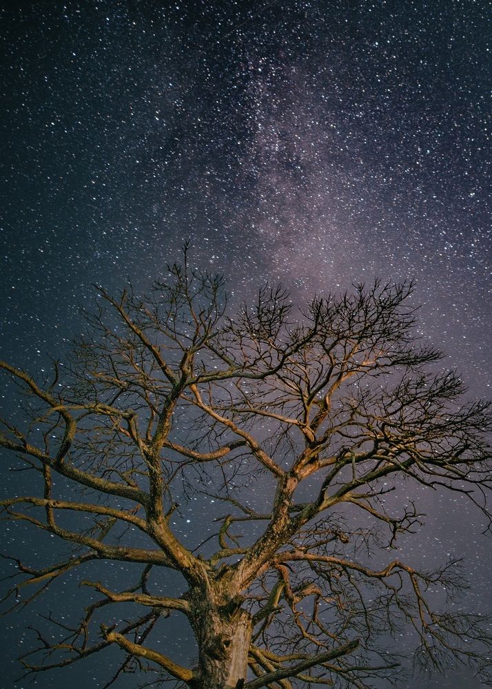 Photograph by Елена Ефимова