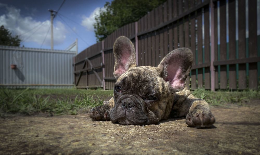 Photograph by Анна Панеева