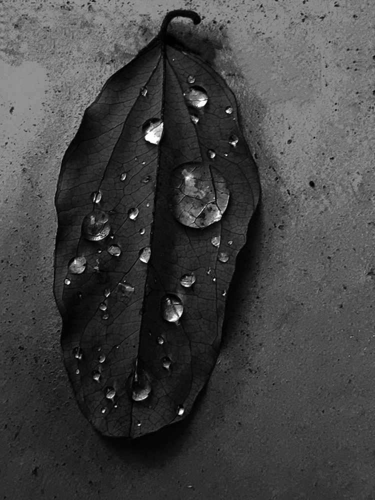 Photograph by JONATHAN VALDEZ