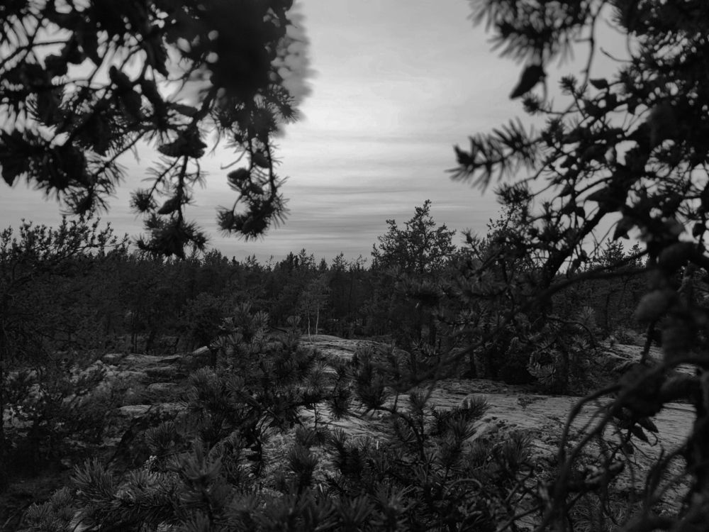 Photograph by JONATHAN VALDEZ