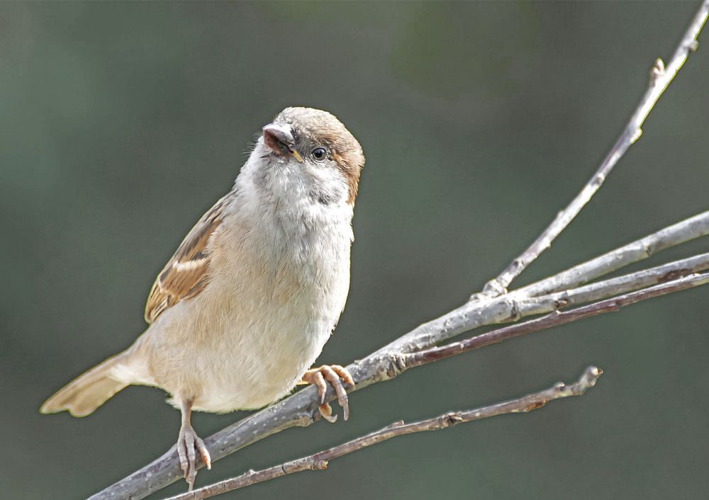 Photograph by Сергей