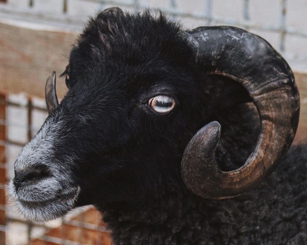 Фотография автора Galina Sa