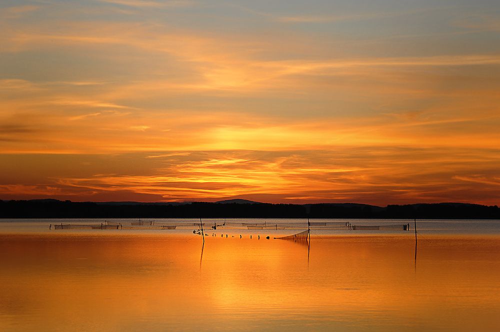 Фотография автора Александр Степочкин