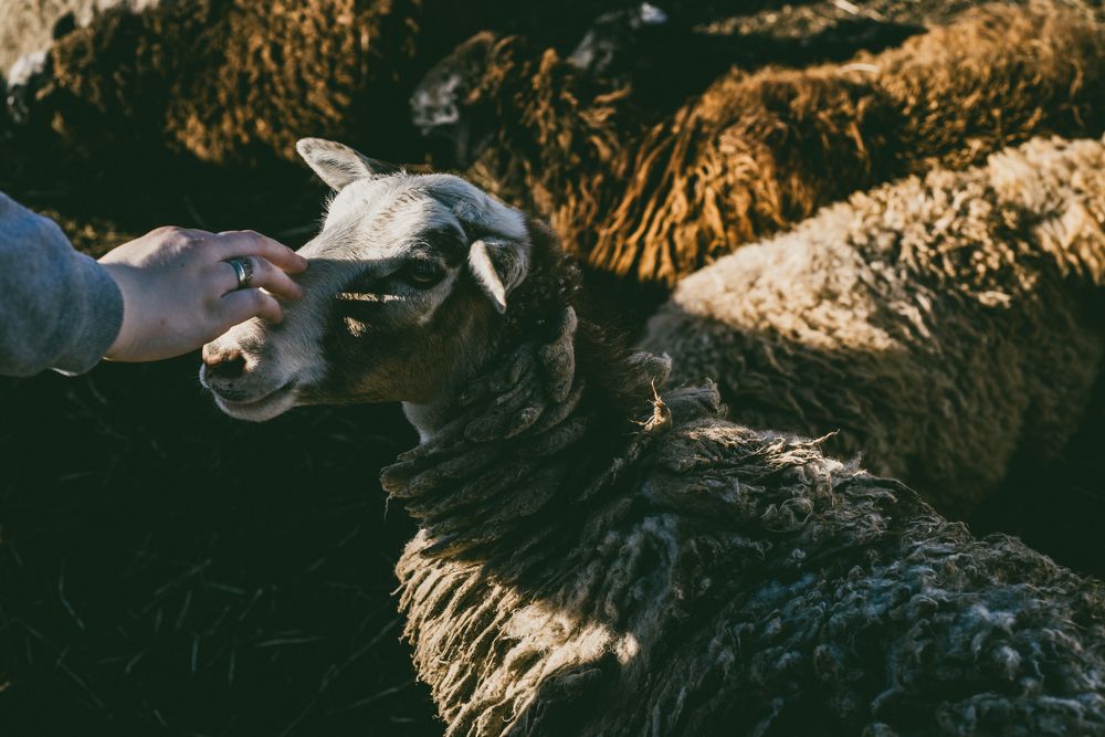 Photograph by Sergey Palchikov