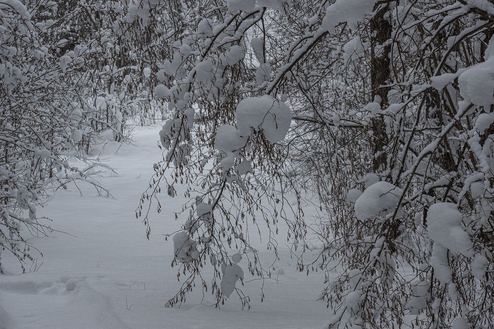 Photograph by Екатерина Бурикова