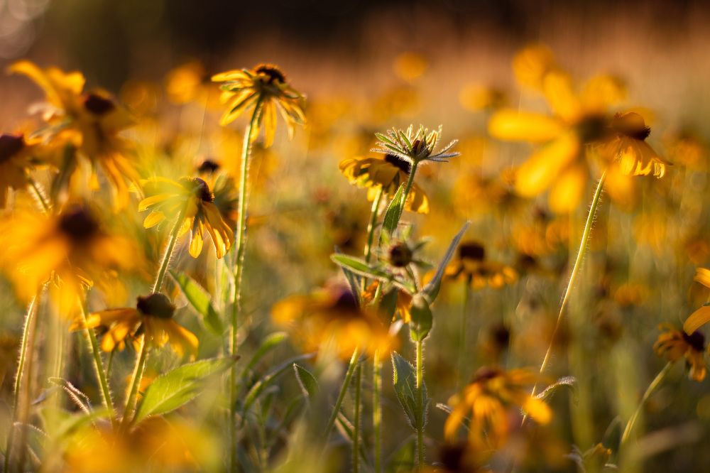 Photograph by Анатолий Костерев