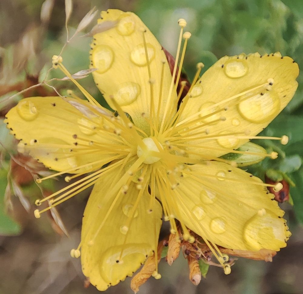 Photograph by Ljiljana Nedeljković