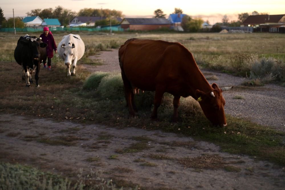 Photograph by Елена Сторожева