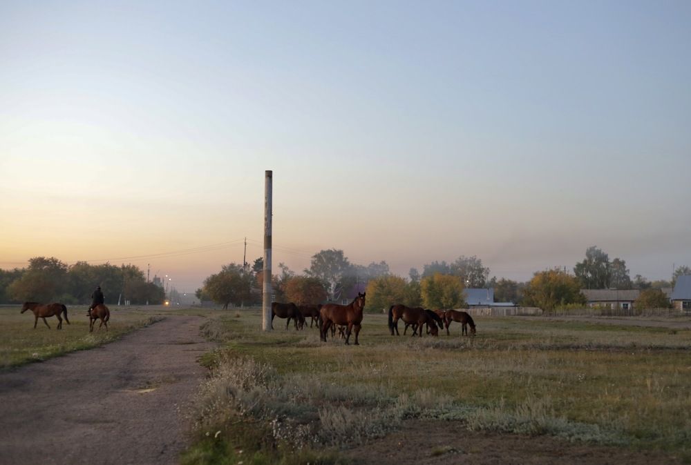 Photograph by Елена Сторожева