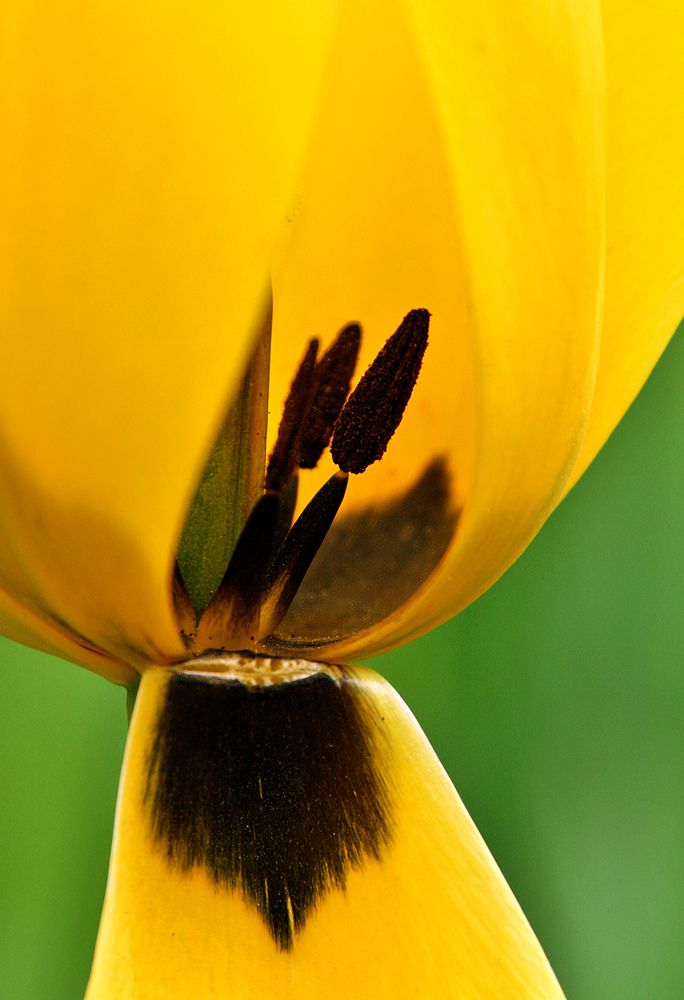 Фотография автора Кулешов Сергей