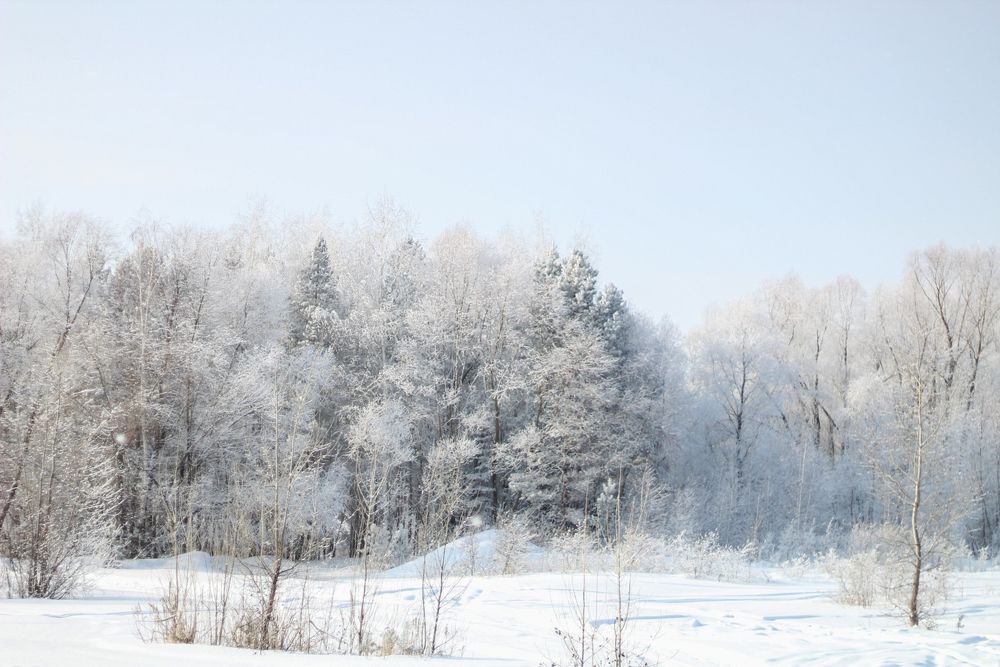 Photograph by Екатерина Андросова