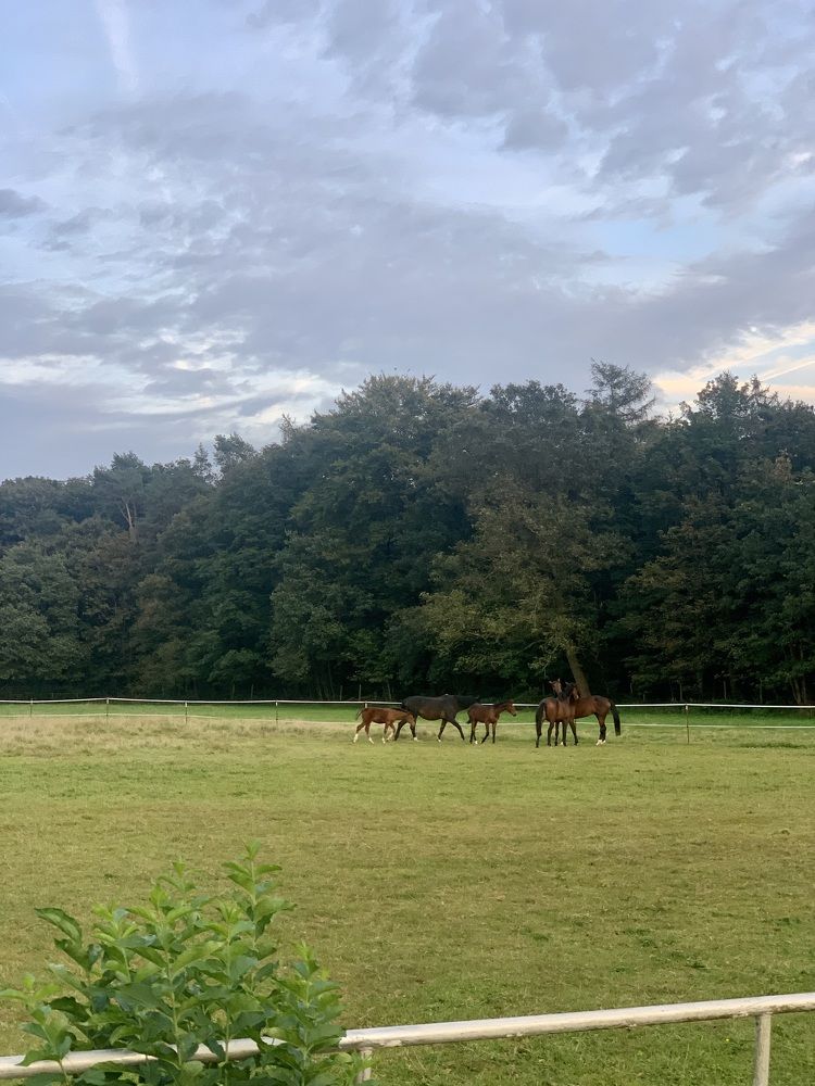 Photograph by Анастасия Мангольд