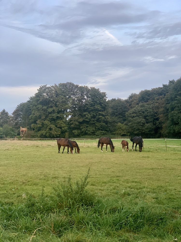 Photograph by Анастасия Мангольд