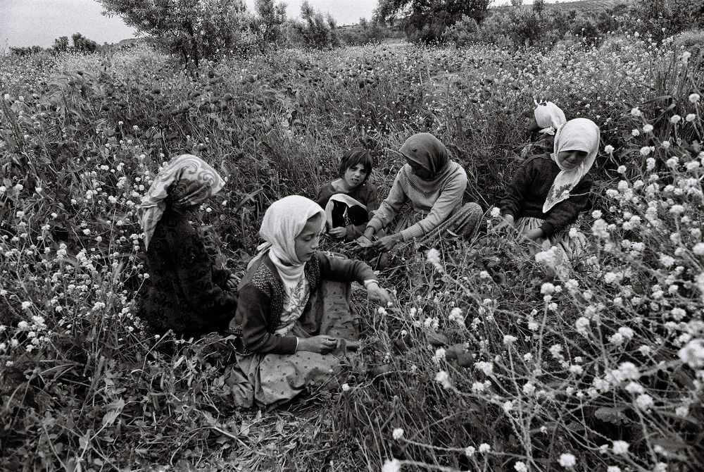 Photograph by Muzaffer Sütlüoğlu