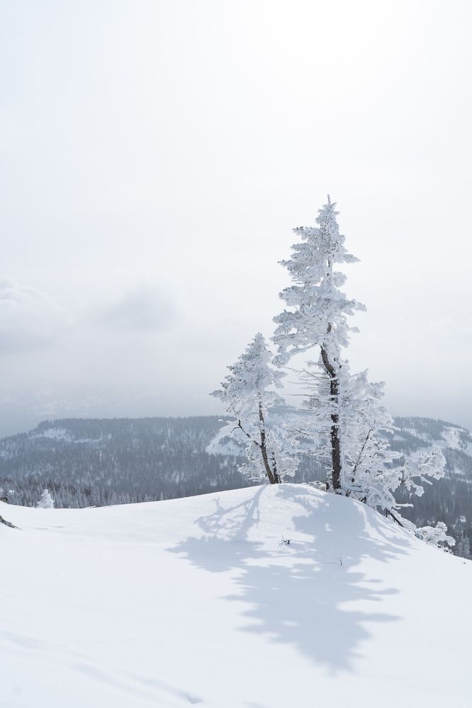 Photograph by Андрей Шишлов