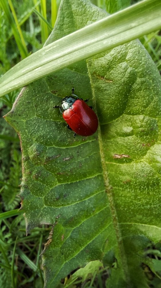 Фотография автора Евгения Зайцева