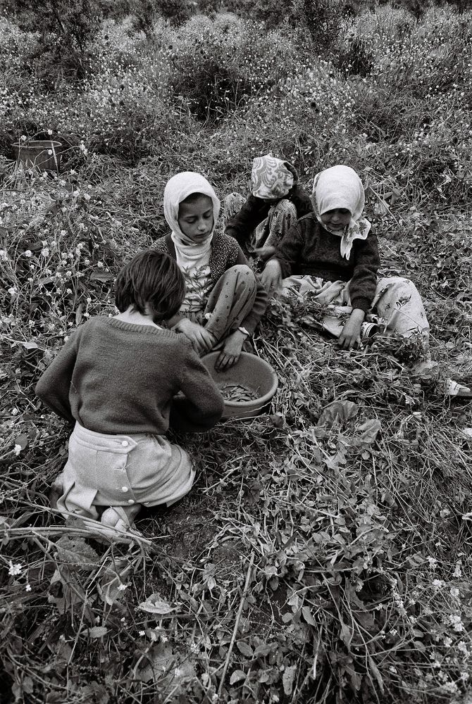 Photograph by Muzaffer Sütlüoğlu