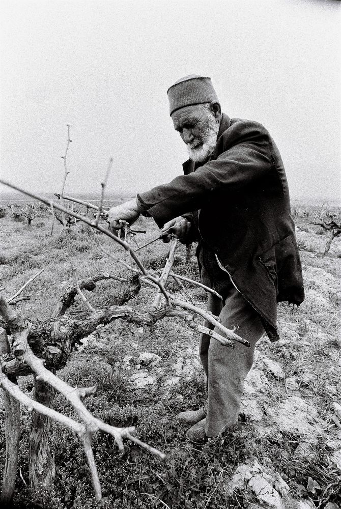 Photograph by Muzaffer Sütlüoğlu