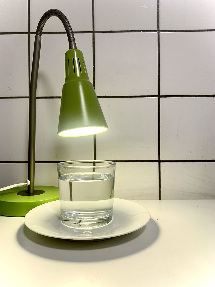 Photograph by Анастасия Мангольд