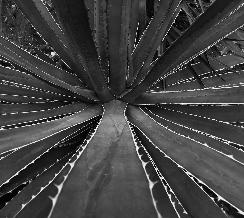 Photograph by Анна Матецкая