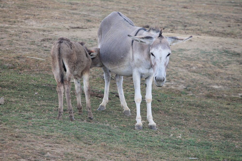 Photograph by Ljiljana Nedeljković
