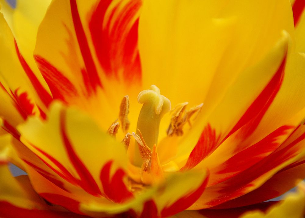 Фотография автора Кулешов Сергей