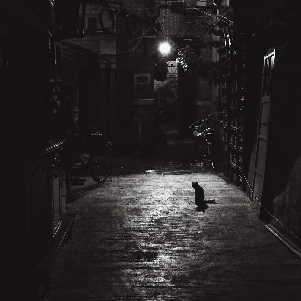 Photograph by Елена Лаврова