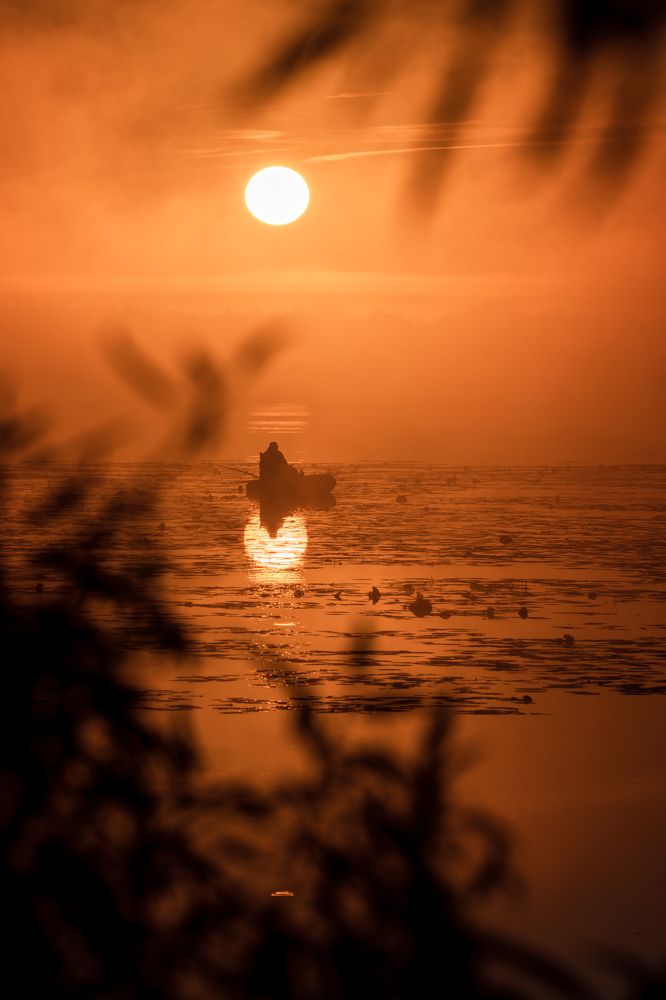 Photograph by Павел Шемякин