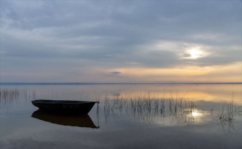 ЗВУК ТИШИНЫ