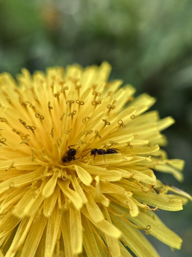 Photograph by Полина Самойлова