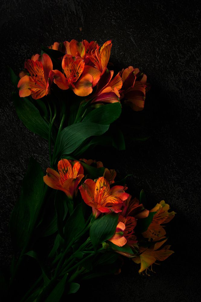 Photograph by Владислав Треус