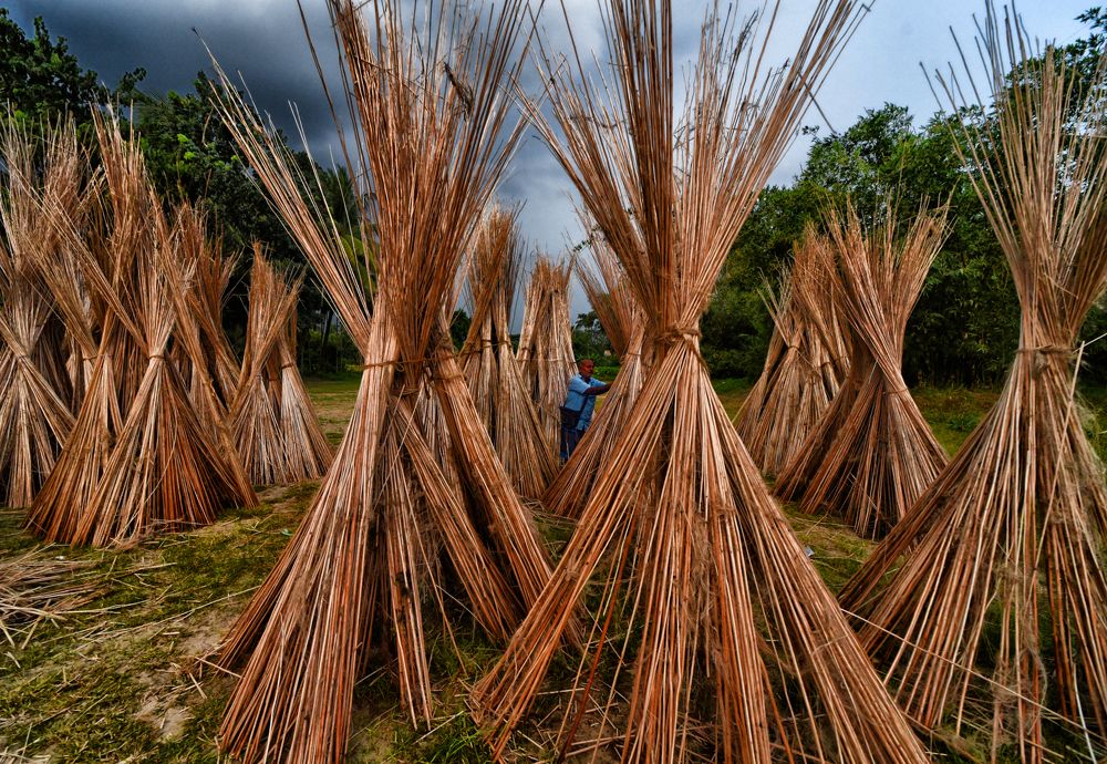 Photograph by TANUSREE MITRA