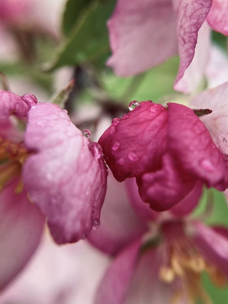 Photograph by Полина Самойлова