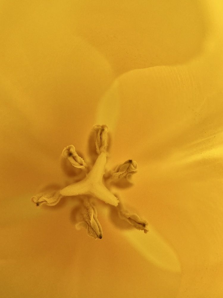 Photograph by Полина Самойлова