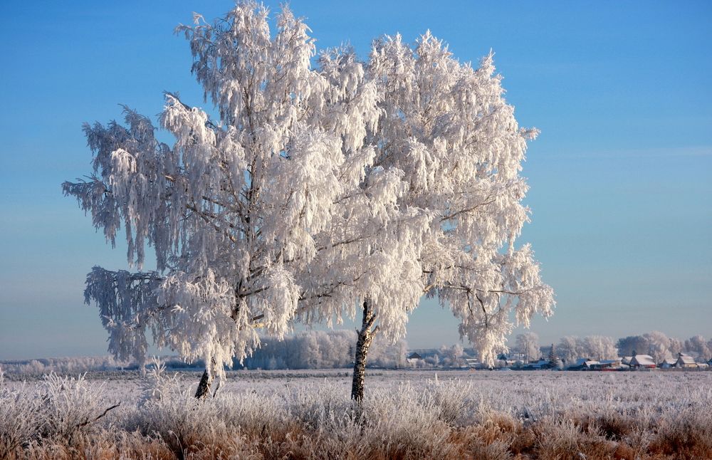 Фотография автора Nelya  Lysenko
