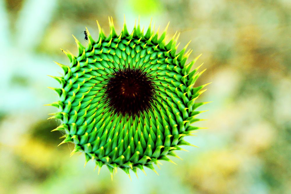 Photograph by mehdi karimi souderjani